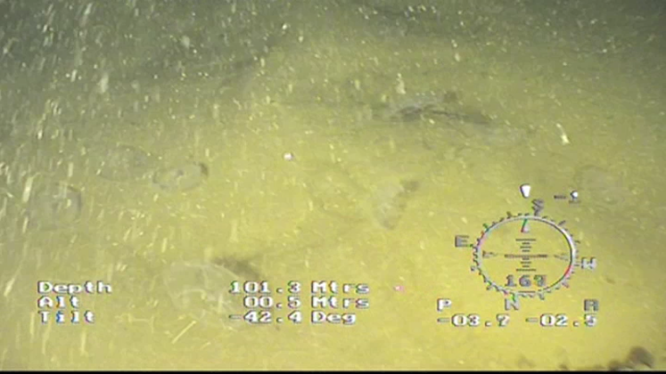 Still large dvd genus station 277