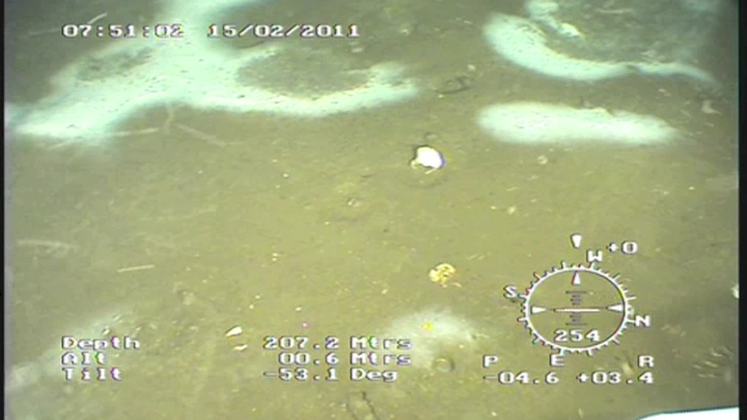 Still large dvd genus station 285