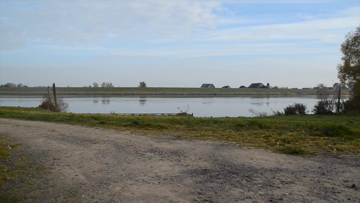 Still medium insel wilhelmsburg