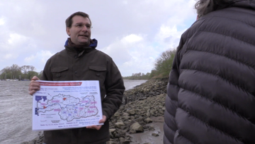 Still medium cadmium