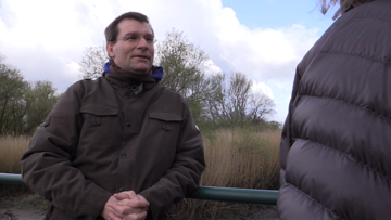 Still medium schadstoffe in hh