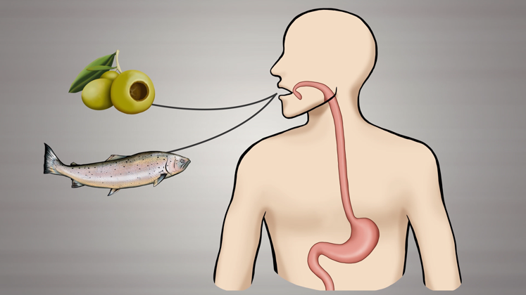 Still large erkl rvideo   omgea 3 fetts uren zur linderung von schmerzen